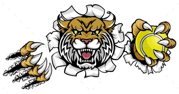 590x309 Wildcat Holding Tennis Ball Breaking Background