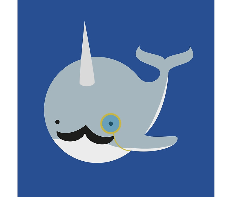 800x679 Narwhal Clipart Sir
