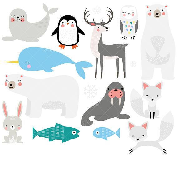 570x570 Arctic Animals Clipart Winter Animals Clip Art Polar Bear