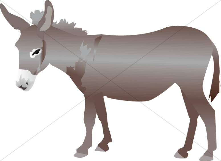 776x566 Nativity Donkey Nativity Clipart