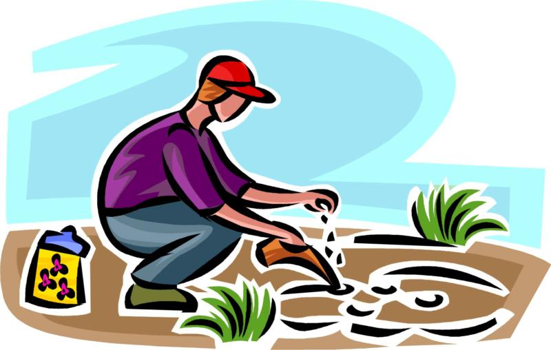 800x508 Go Green With Sustainable Landscaping Techniques