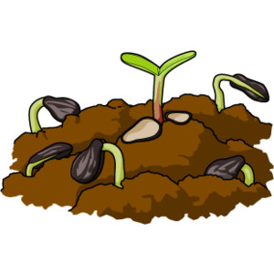 300x300 Topsoil Clipart