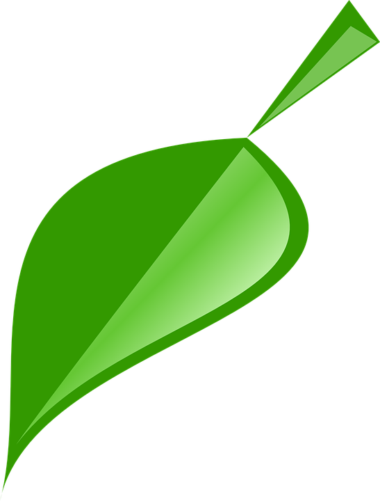 547x720 Nature Clipart Green Leaf