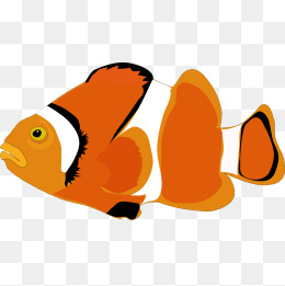 260x261 Finding Nemo Png Images Vectors And Psd Files Free Download