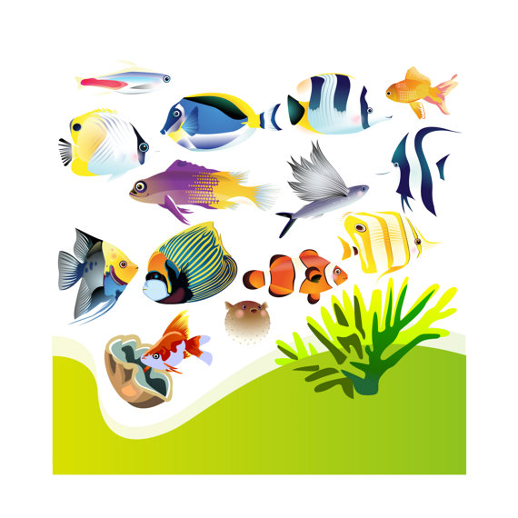 570x570 Aquarium Clip Art