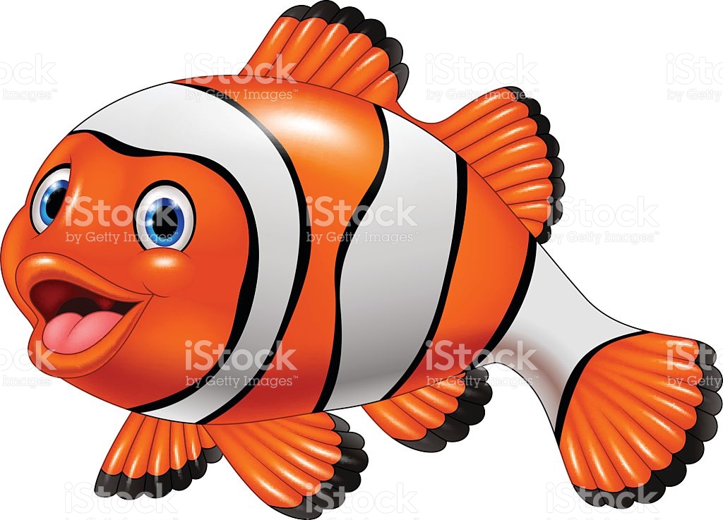 1024x737 Clipart Clown Fish Cartoon Clip Art At Clker Com Vector Online