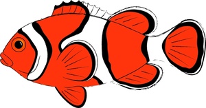 300x157 Clown Fish Clipart Clipart Panda
