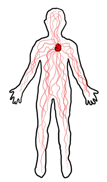 350x595 Human Body Cartoon