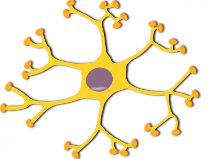 425x318 Neuron Clip Art Download