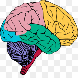 260x260 Psychology Mind Psychologist Clip Art