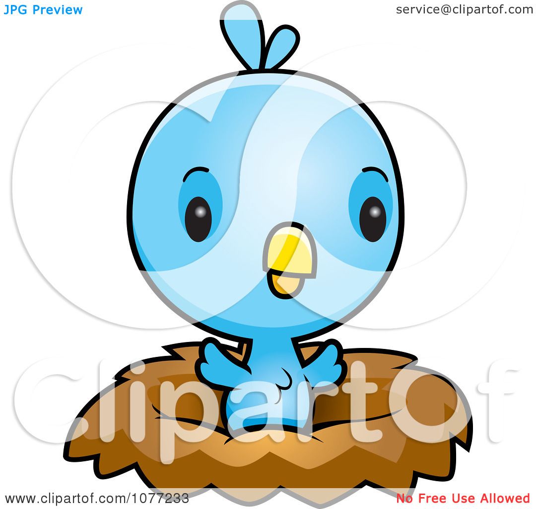 1080x1024 Clipart Cute Baby Blue Jay Chick In A Nest