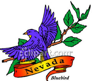 300x261 State Bird Of Nevada