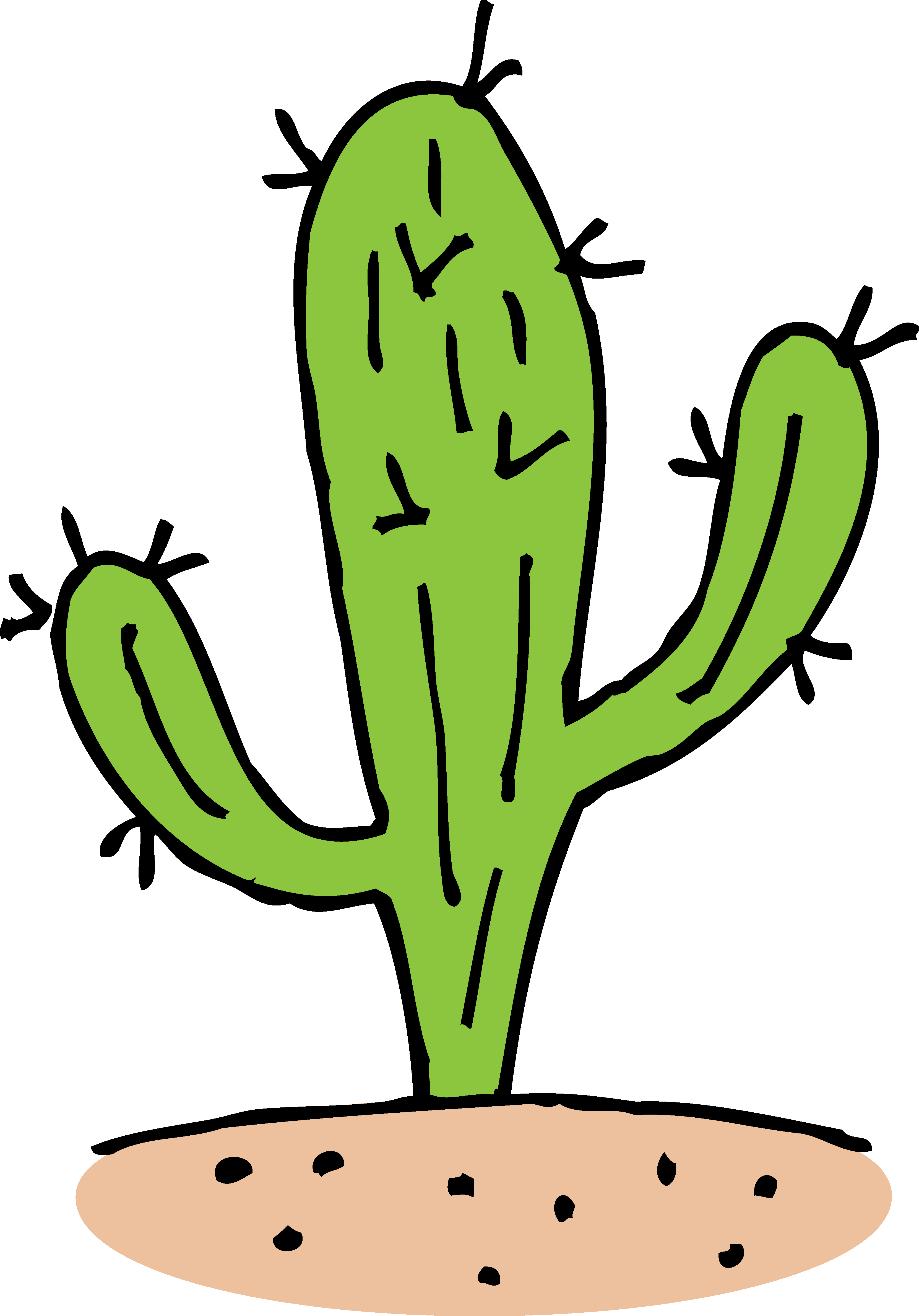 3323x4757 Cactus Clipart Biology