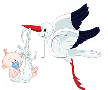 350x293 Stork Bringing A Special Delivery Of A Newborn Baby