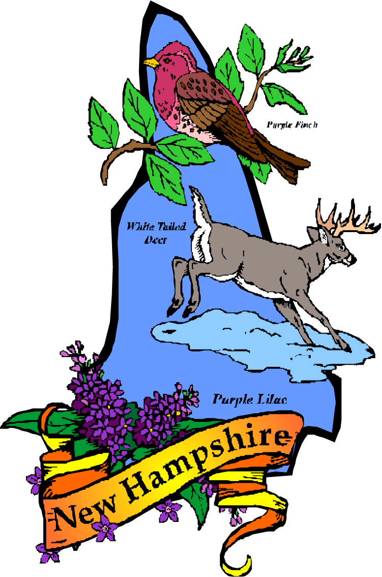 750x1131 Gorgeous New Hampshire State Symbols 19 Indiana Coloring Page
