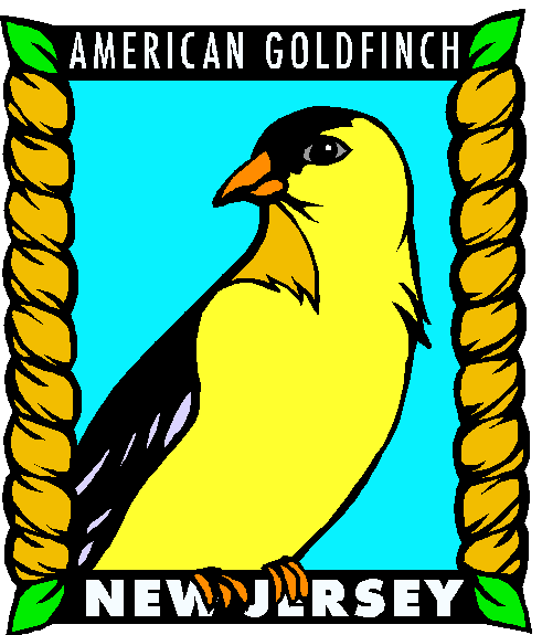491x575 Goldfinch Clipart Nj State