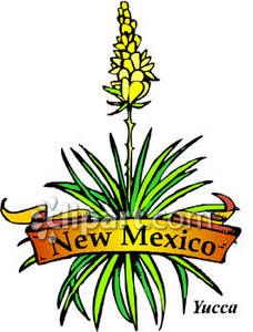 228x300 State Flower Of New Mexico
