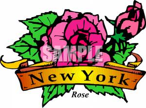 300x221 The State Flower Of New York, The Rose Clipart Picture