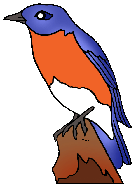 466x648 United States Clip Art By Phillip Martin, New York State Bird
