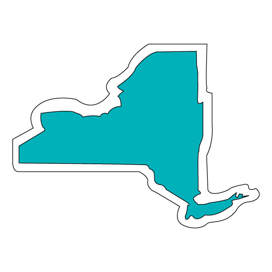 550x550 3.5x3 Custom New York Shaped Magnets 20 Mil