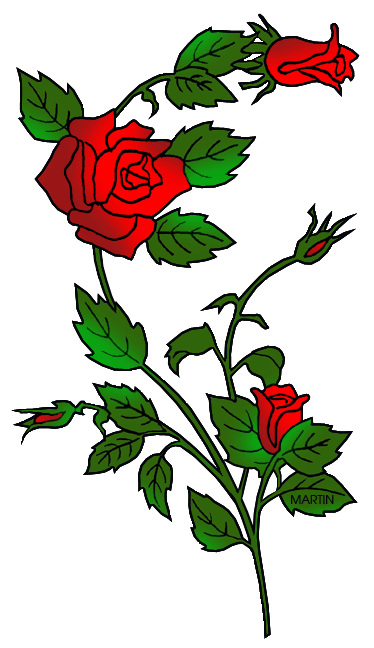 374x648 United States Clip Art By Phillip Martin, New York State Flower