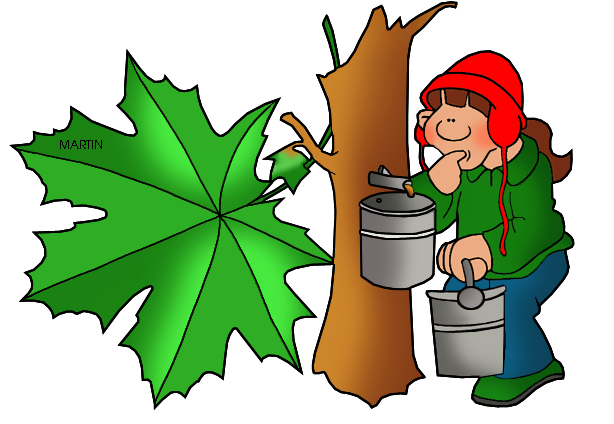 614x424 United States Clip Art By Phillip Martin, New York State Tree