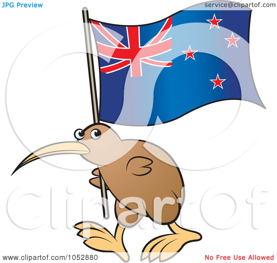 1080x1024 Royalty Free Vector Cliprt Illustration Of Kiwi Bird