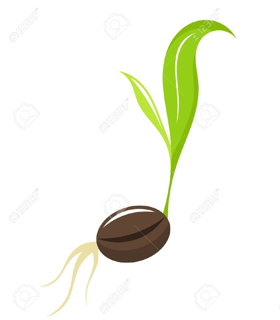 1138x1300 Seed Clipart