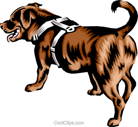 480x444 Newfoundland Dog Royalty Free Vector Clip Art Illustration