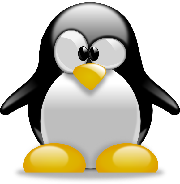 582x597 Beautiful Design Clipart Penguin Clip Art Printable Free Panda