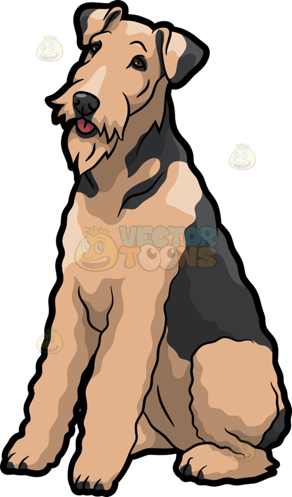 602x1024 A Friendly Airedale Terrier Pet Dog Cartoon Clipart Vector Toons