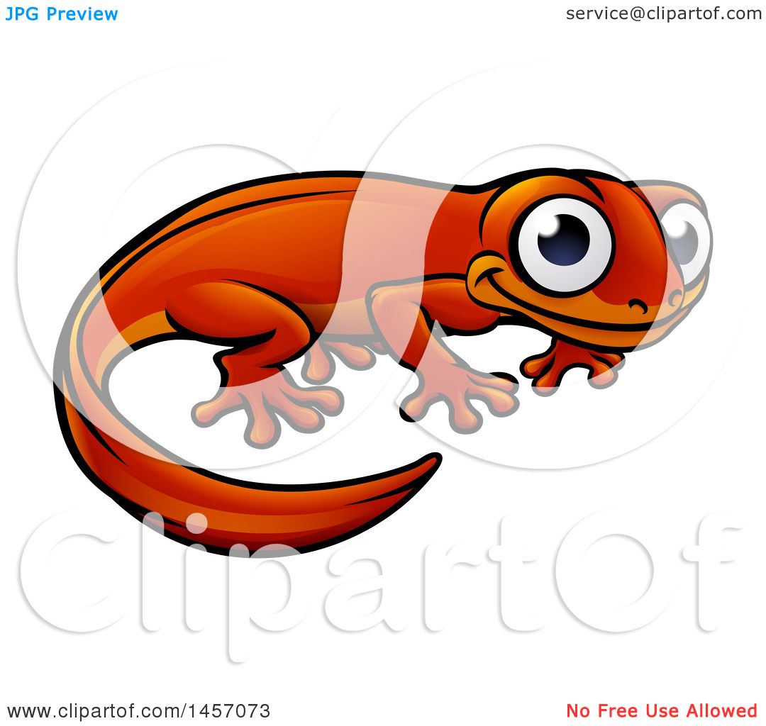 1080x1024 Clipart Of A Cartoon Happy Newt