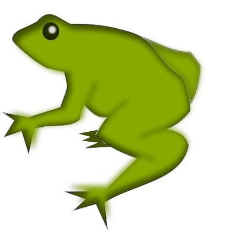 731x800 Amphibian Clip Art Download