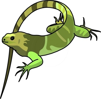 350x343 Iguana Silhouette Free Clip Art