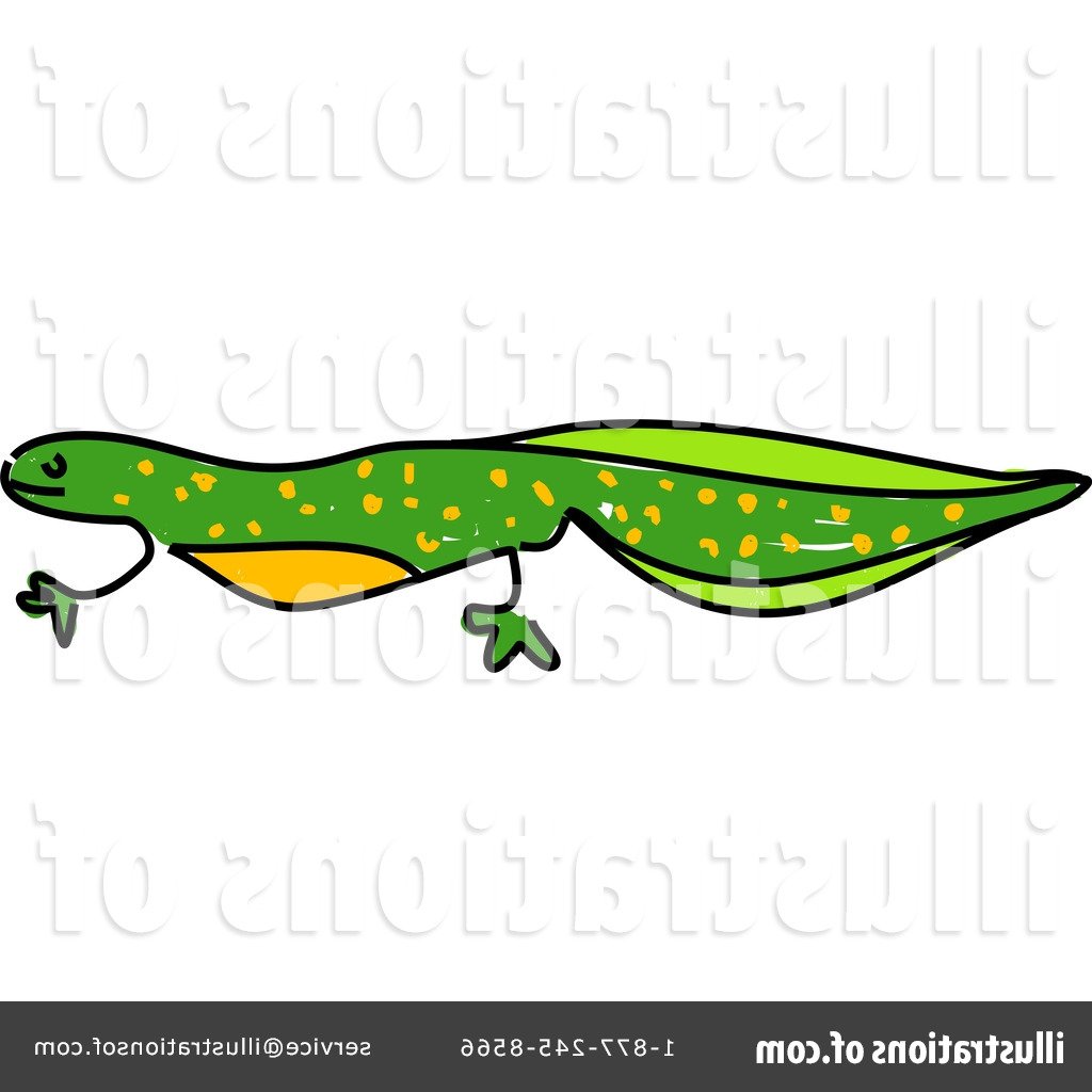 1024x1024 Newt Clipart Reptile Many Interesting Cliparts
