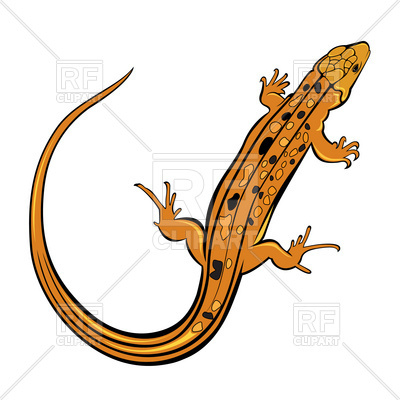 400x400 Orange Gecko Lizard Royalty Free Vector Clip Art Image