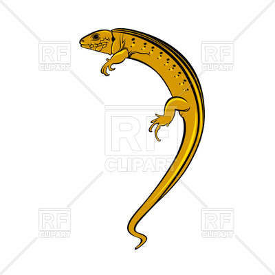 400x400 Stylized Orange Iguana Royalty Free Vector Clip Art Image