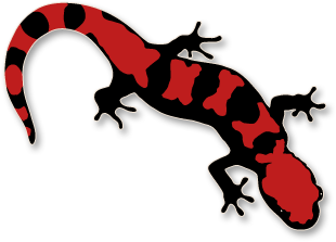 310x223 Top 88 Salamander Clipart