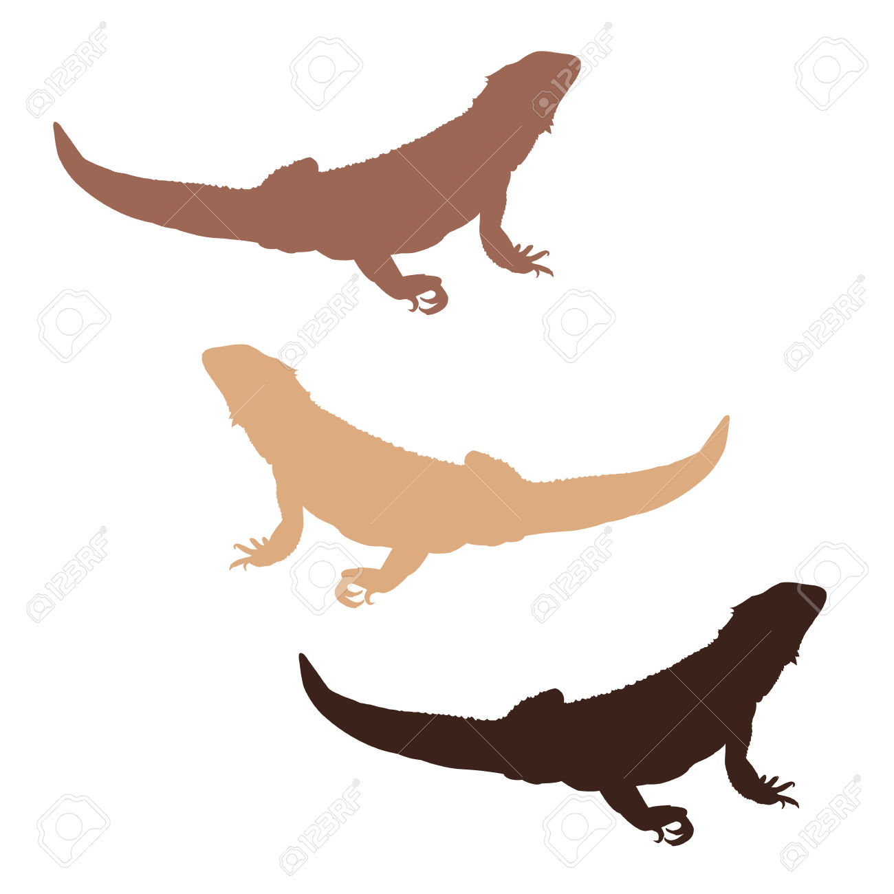 1300x1300 Bearded Dragon Clipart