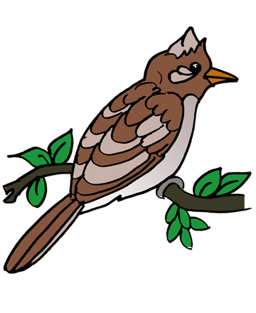 360x440 Top 96 Nightingale Clip Art