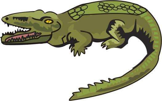 526x328 Collection Of Crocodile Drawing Color High Quality, Free