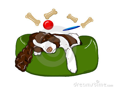 400x309 Springer Spaniel Clipart