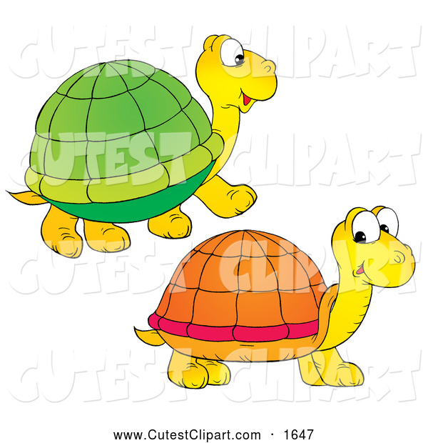 600x620 Collection Of Two Turtles Clipart High Quality, Free