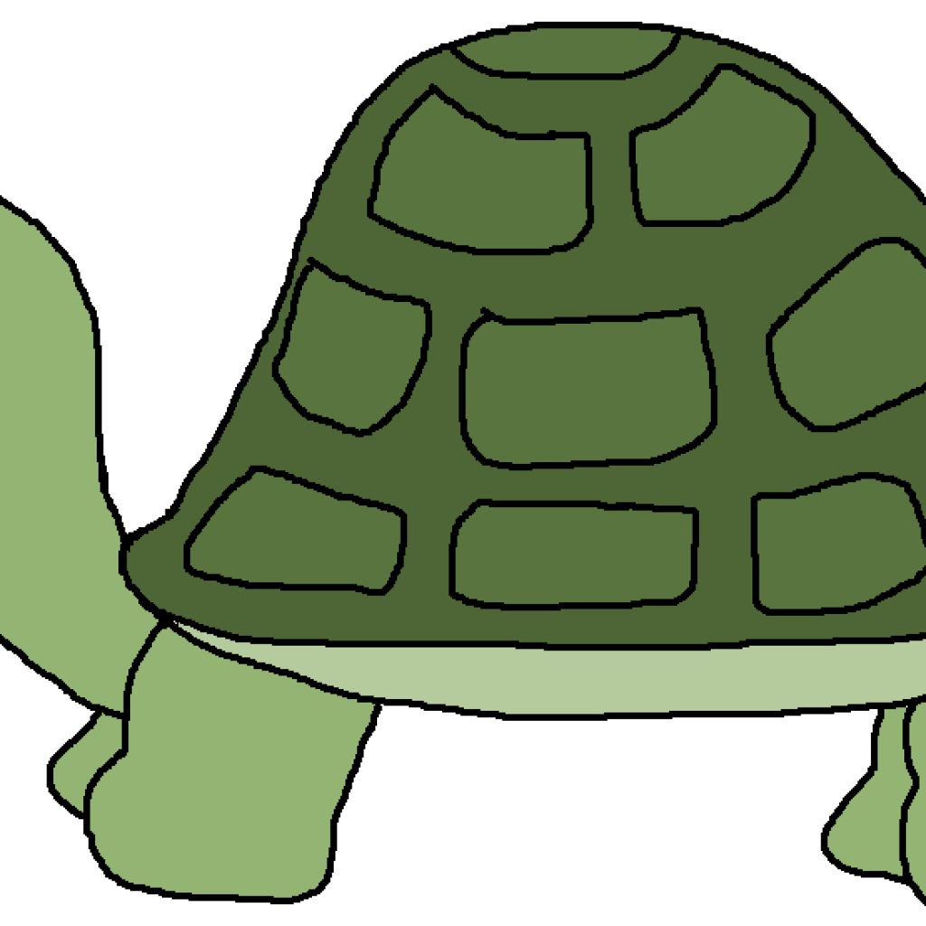 1024x1024 Free Turtle Clipart