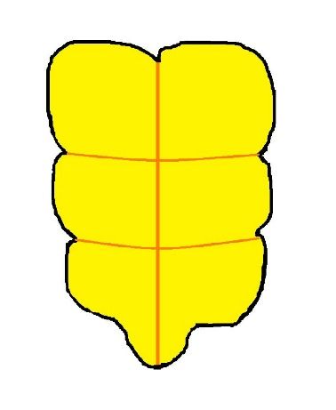 378x461 Ninja Turtles Clipart Abs 3742302