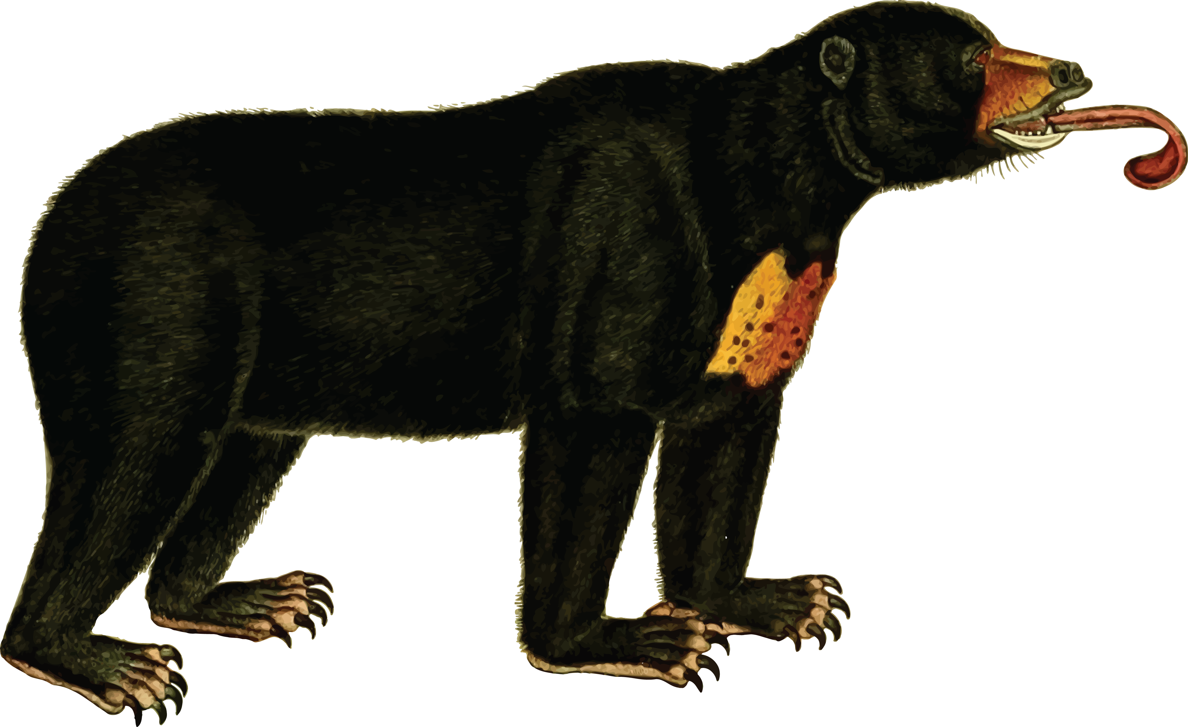 4000x2450 Noahs Ark Clip Art Cute Bible Story Graphics