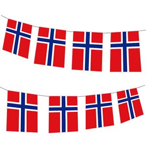 300x290 Norway Flags For Countries From Around The World For Decorations