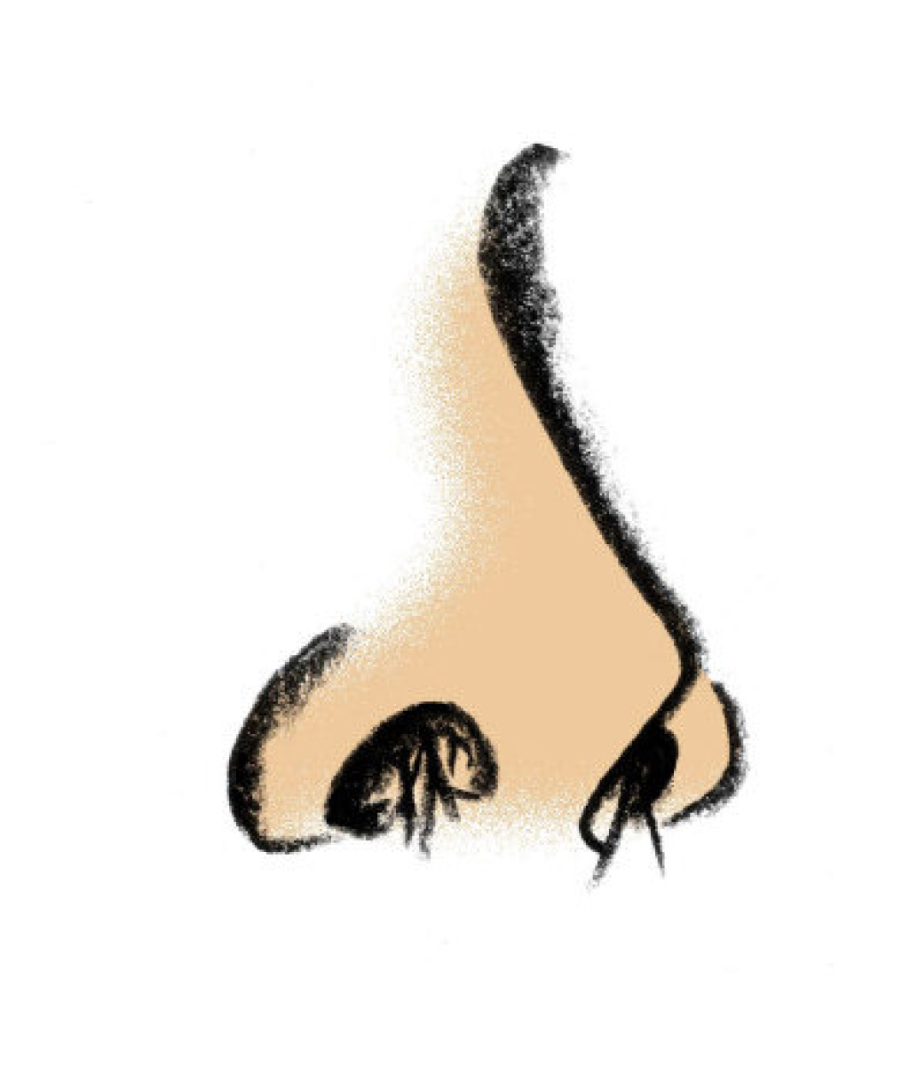 1025x1200 Clip Art Clip Art Nose