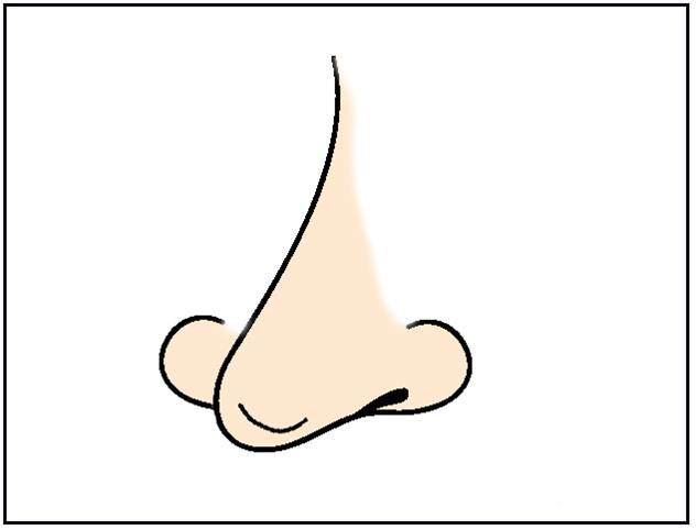 632x482 Clip Art Nose Clipart