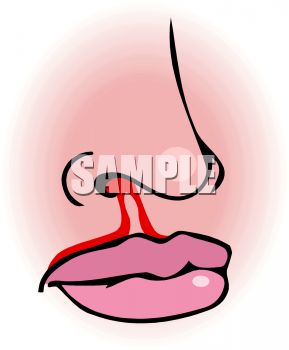 289x350 Royalty Free Clip Art Image Bloody Nose